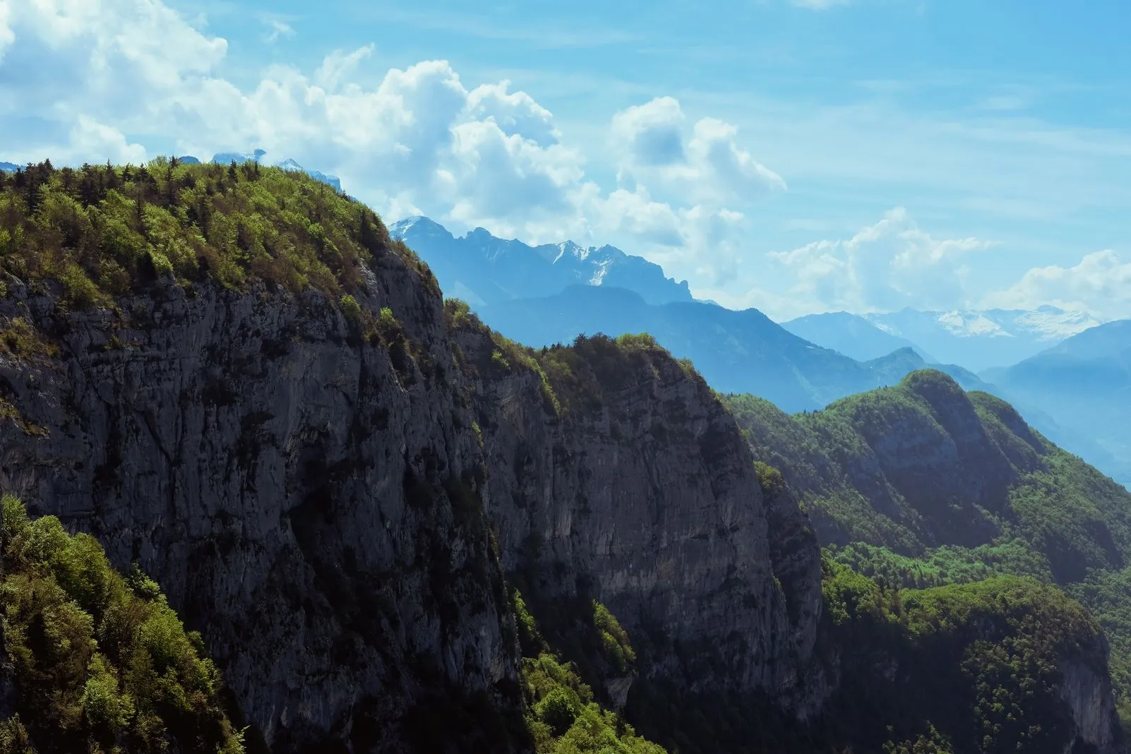 Steep forested cliffs rise before distant snow-capped peaks