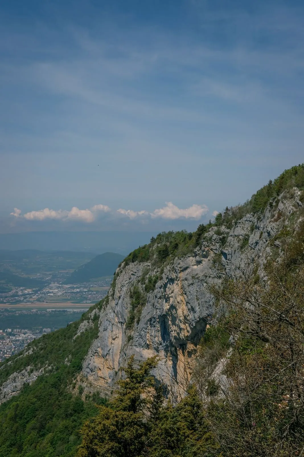 A trail signpost for Mont Baron marks hiking routes and times through the forest