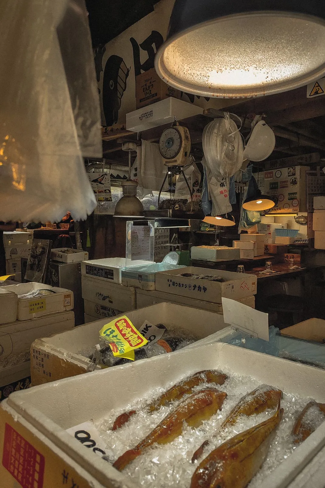 Fresh fish on ice inside a dimly lit market stall hung with lamps and scales