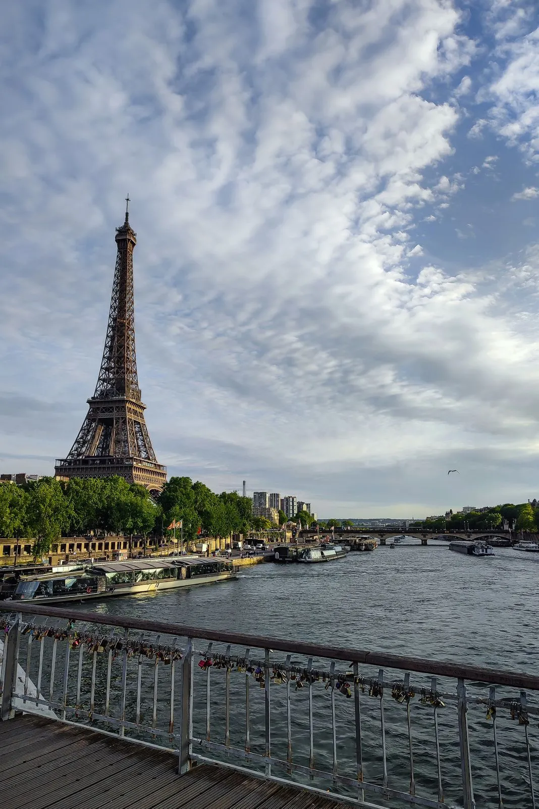 The Eiffel Tower rises beyond a bridge railing covered in love locks