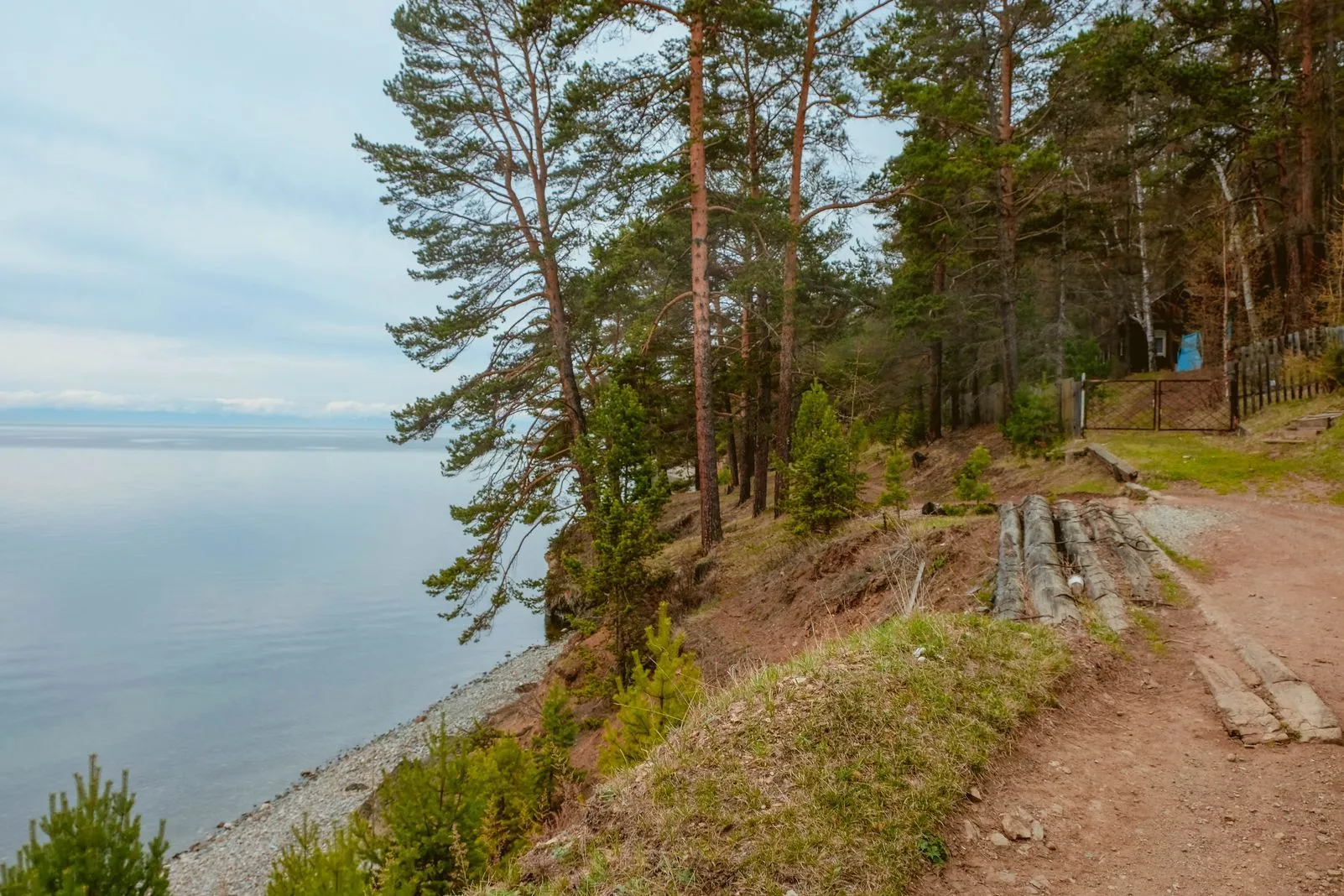 Pine-covered cliff trail overlooking Lake Baikal's shoreline