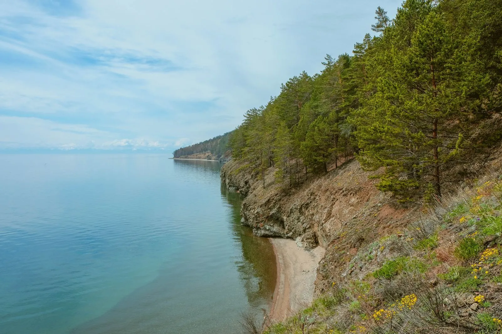Rocky pine-forested point above a turquoise cove and beach