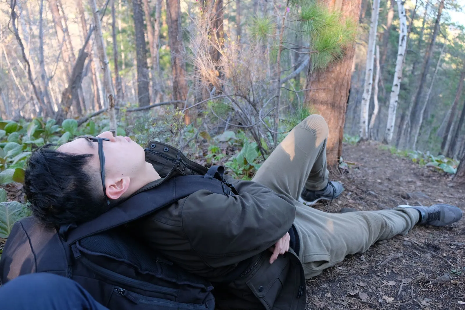 Man resting on the forest floor, using his backpack as a pillow