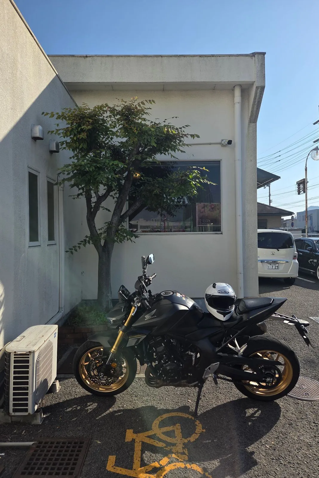 Black and gold Honda naked bike parked by a tree with a helmet resting on the seat