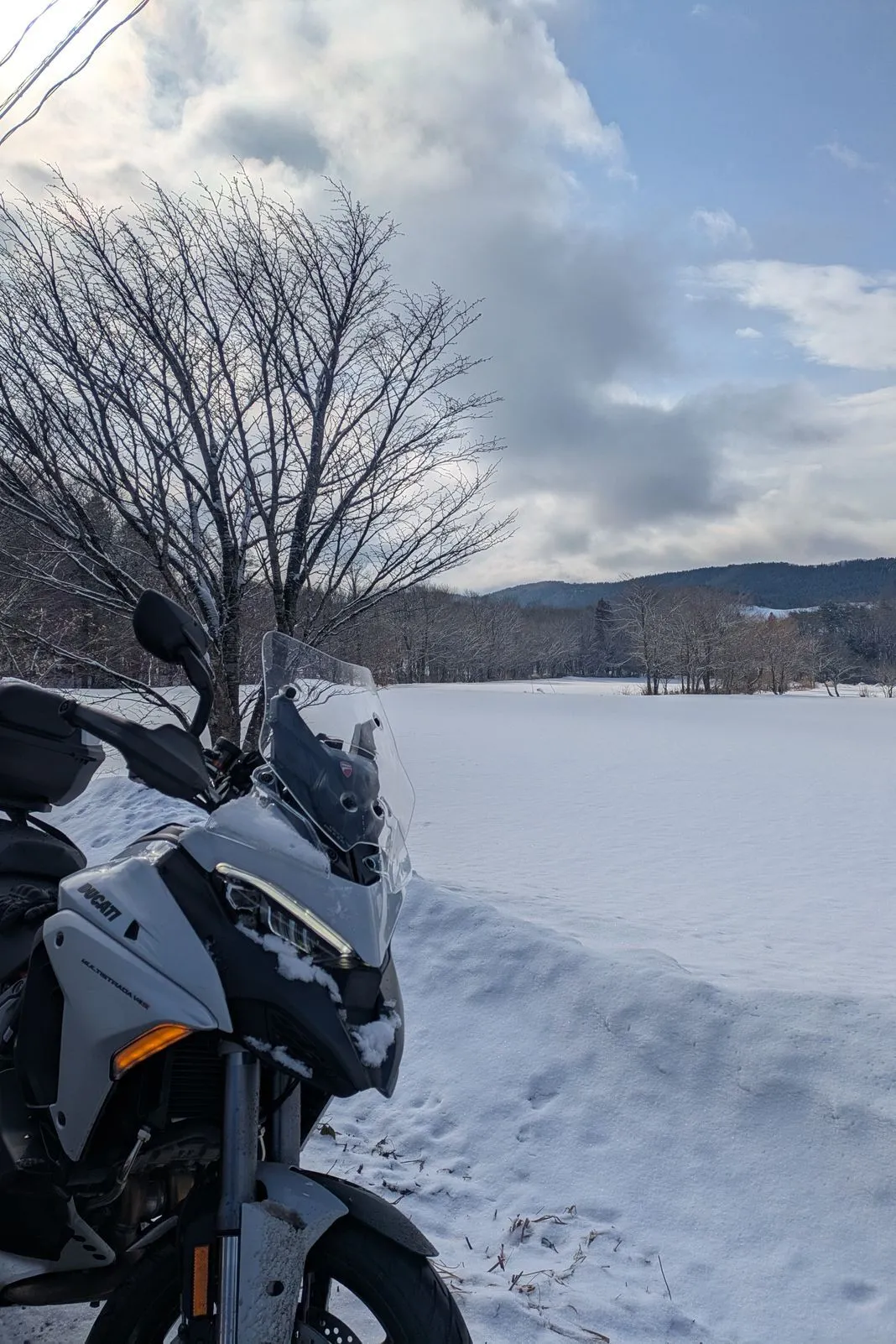 White Ducati Multistrada parked beside a snow-covered frozen lake with bare trees