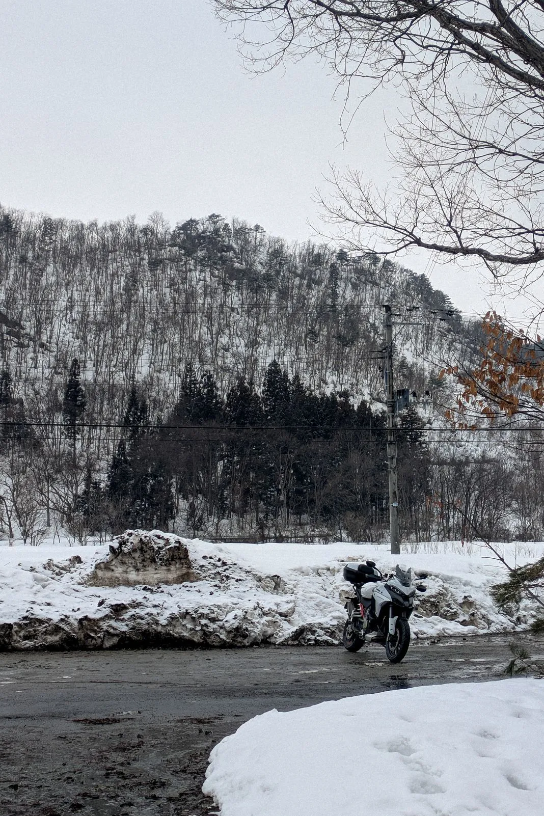 White adventure motorcycle parked on a wet road beside snowbanks and a forested hillside