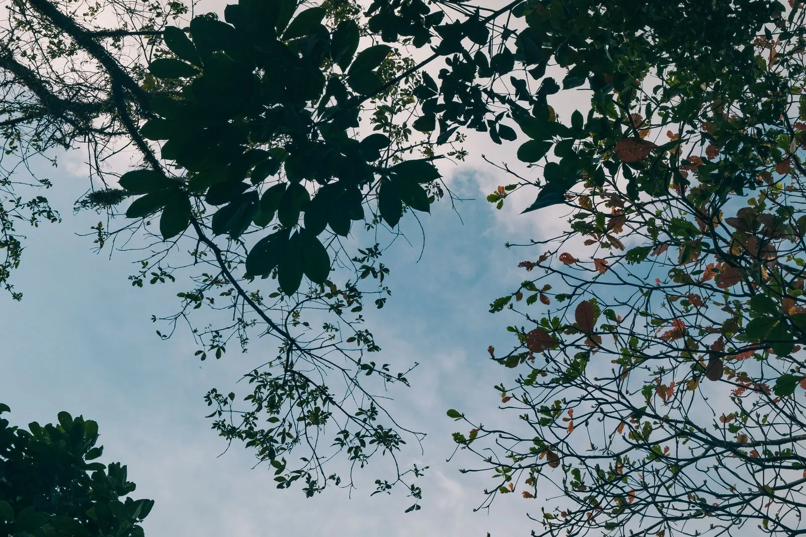 Reading from under a shaded little quiet corner