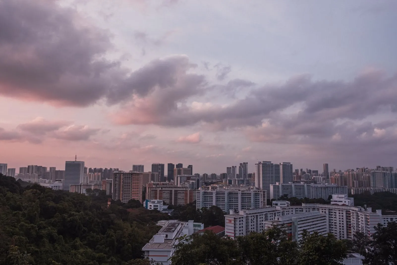 Soft pink and purple sunset clouds over the city skyline from a hillside