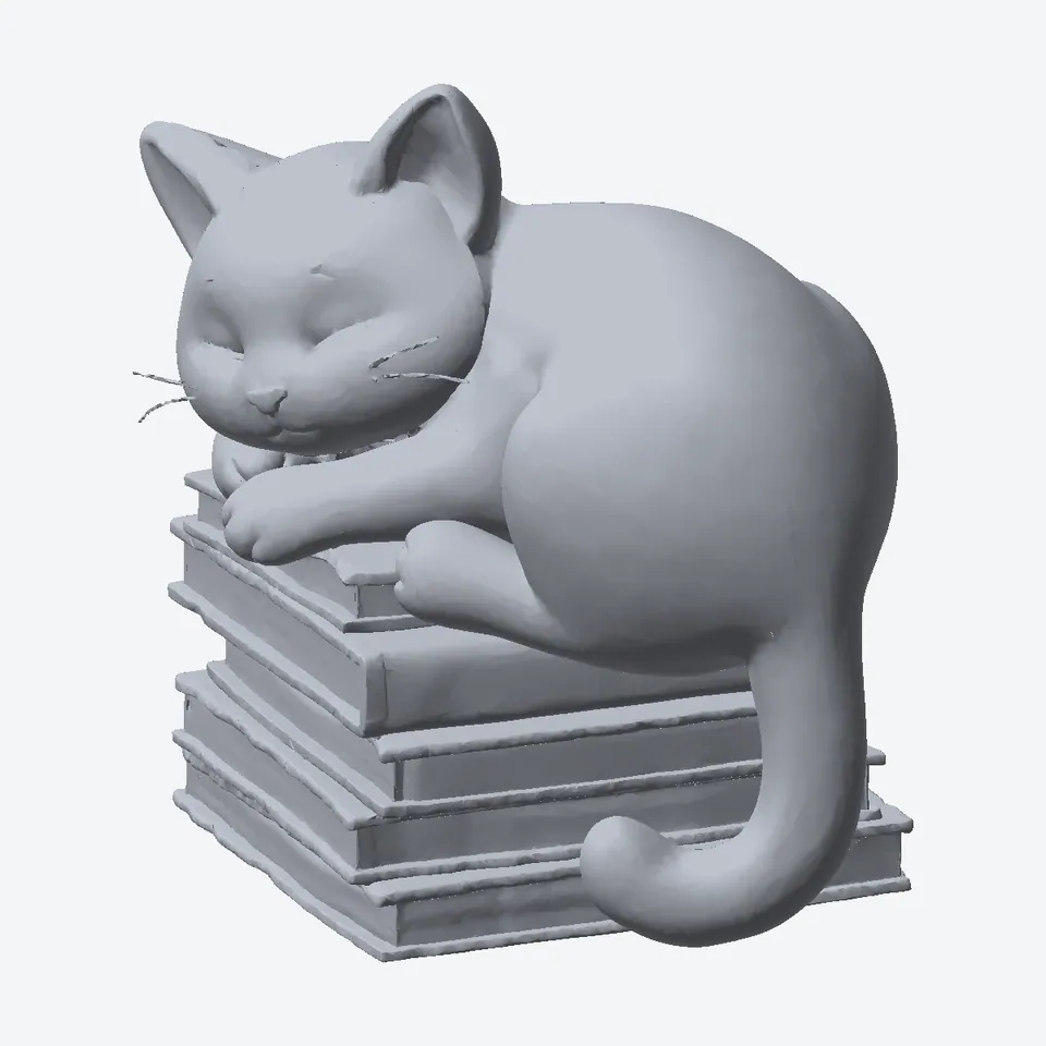 Cat Asleep on Books
