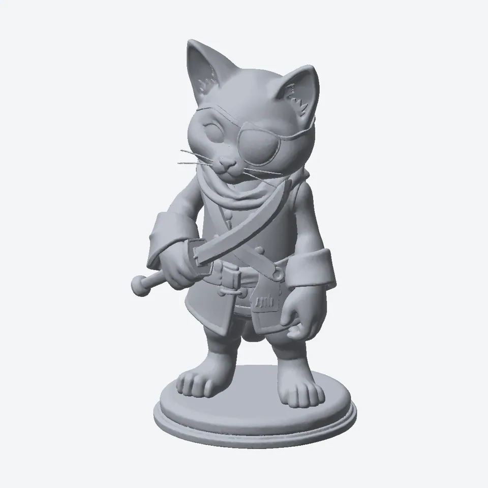 Pirate Cat