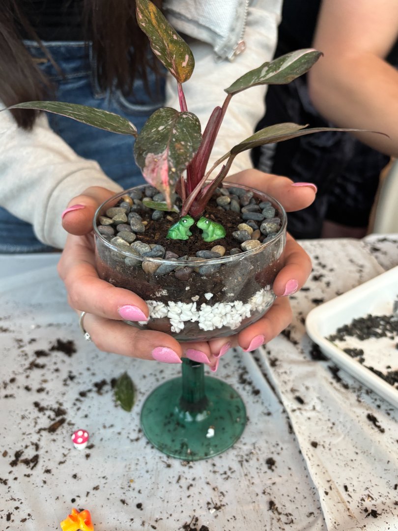 Halloween Terrarium Making at The Wild (SMALL) 4