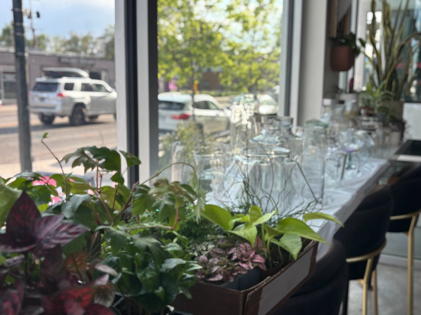 Terrarium Making at Hazel Art Bar! (BIG Size)