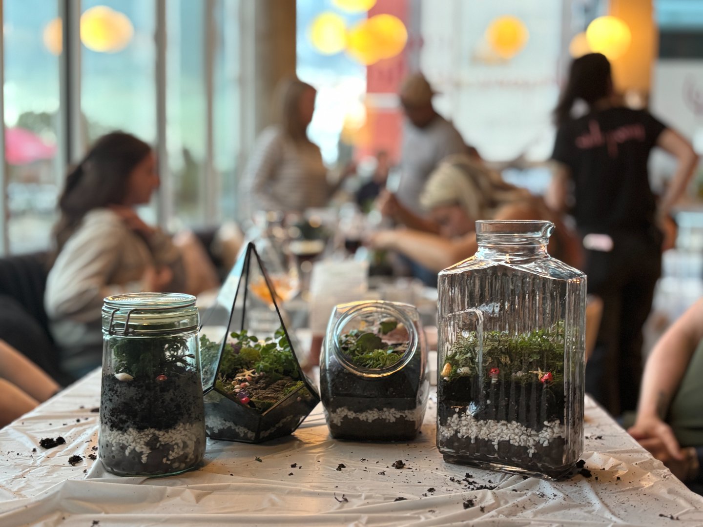 Terrarium Making at Hazel Art Bar! (BIG Size) 3