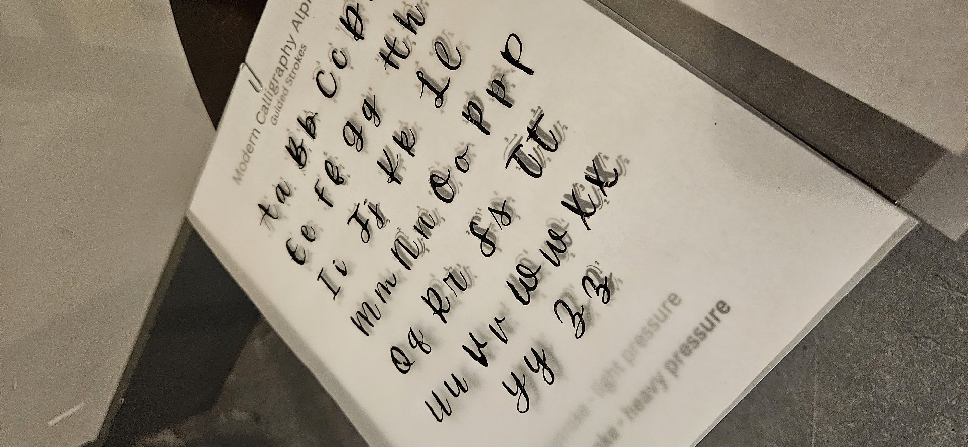 Fly Or Die: A Fourth Wing Calligraphy Workshop 2