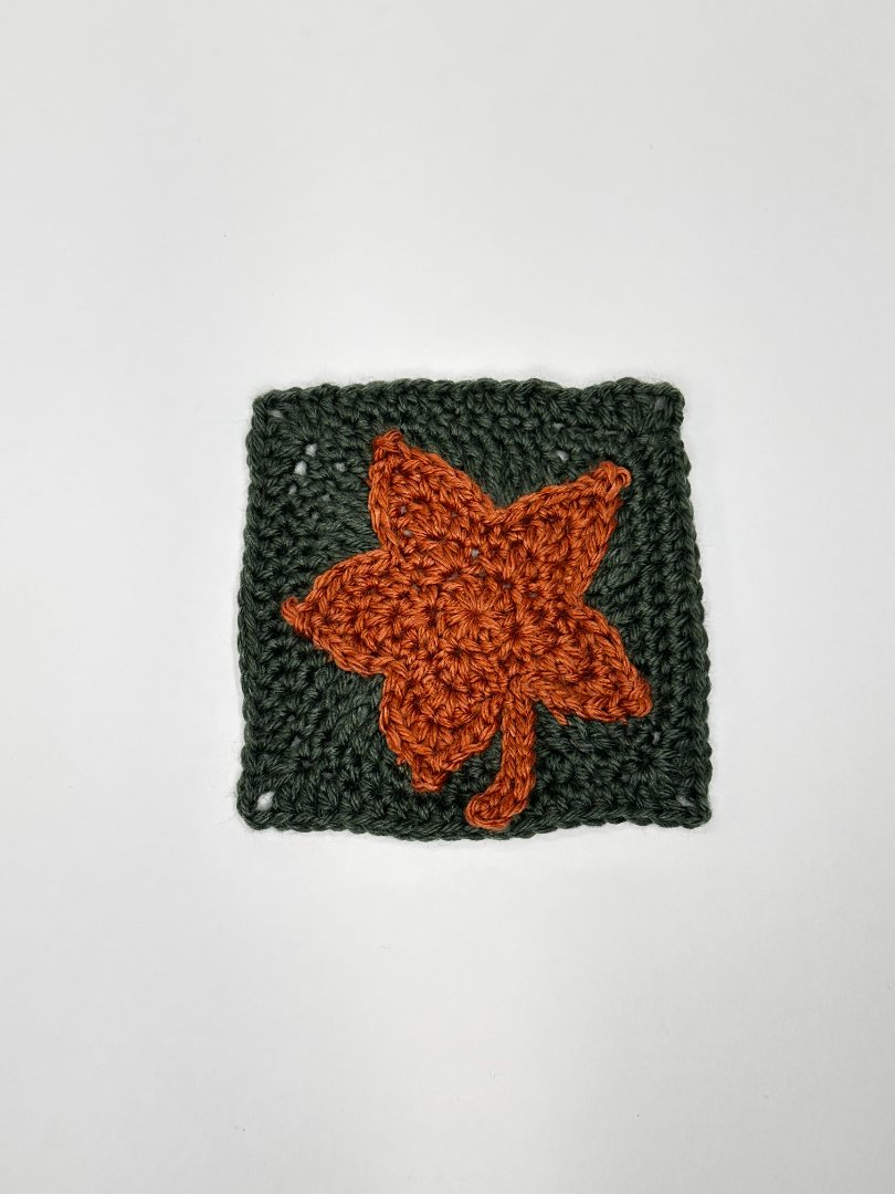 Crochet Granny Square of the Month Club! ✨🍁  November | November 12 2