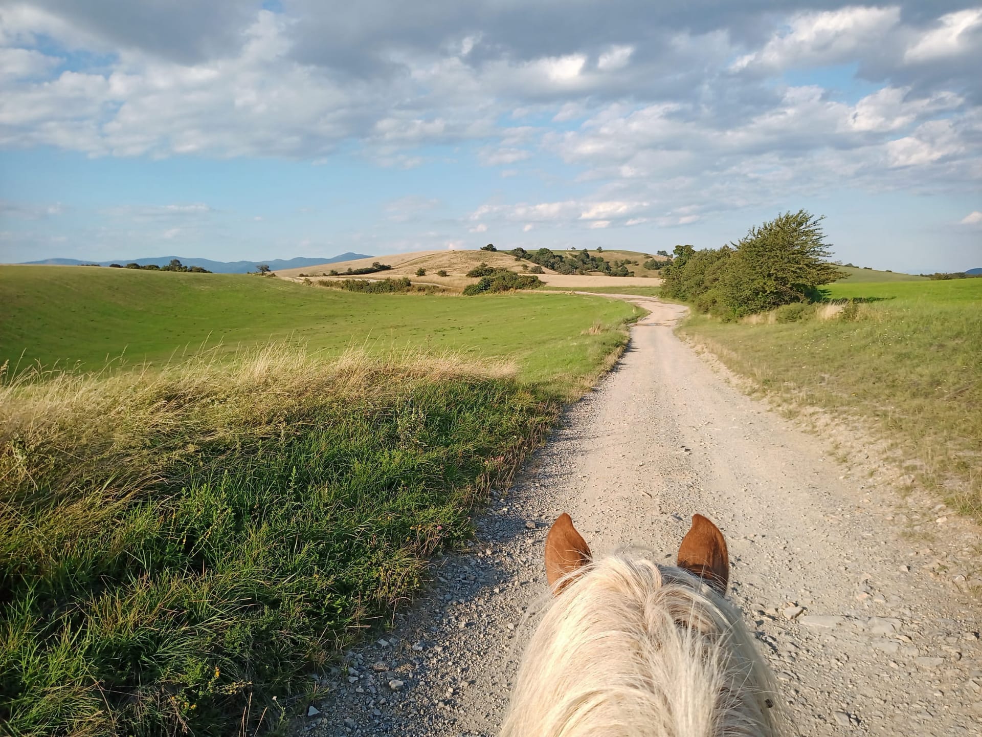 Silica Plateau and Horse Riding in the Slovak Karst