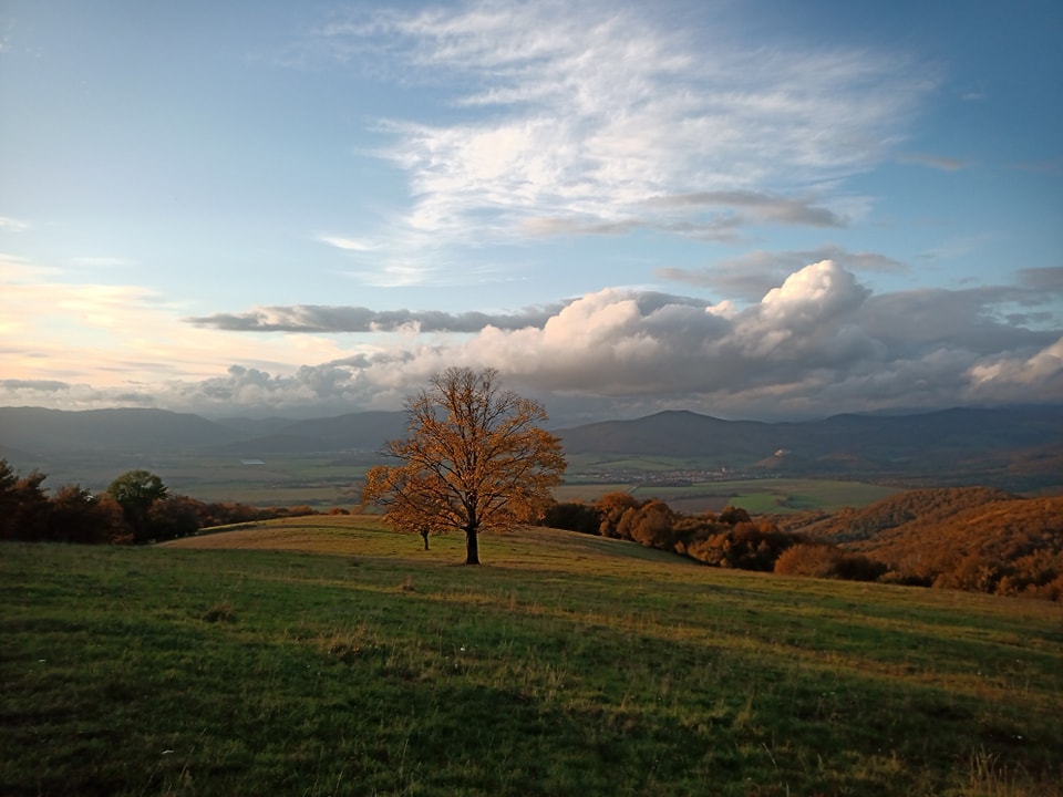 Jazda na koni nad Drnavu