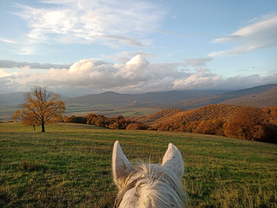 Jazda na koni nad Drnavu