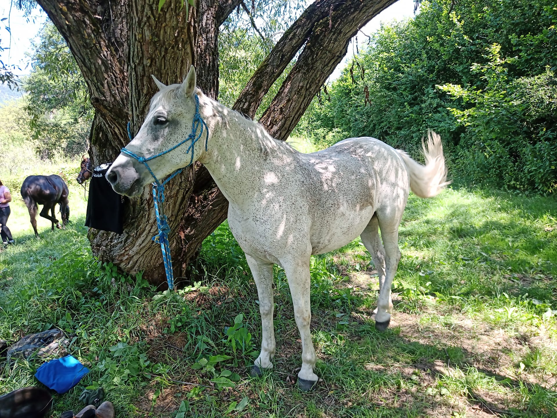 Vychádzka na koni k Hrušovským jazerám