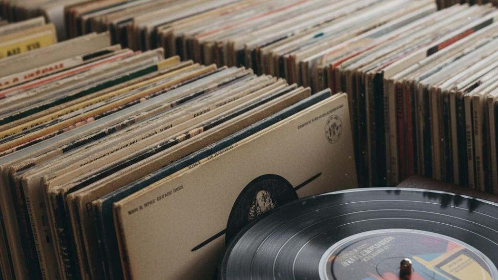 Collecting Vinyl Records