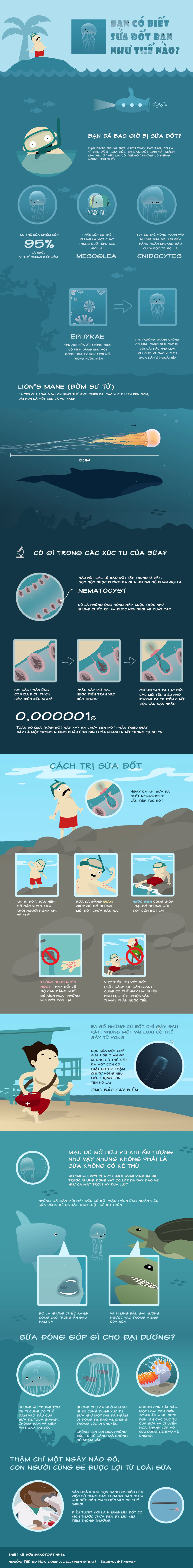 bạn có biết sứa đốt bạn như thế nào