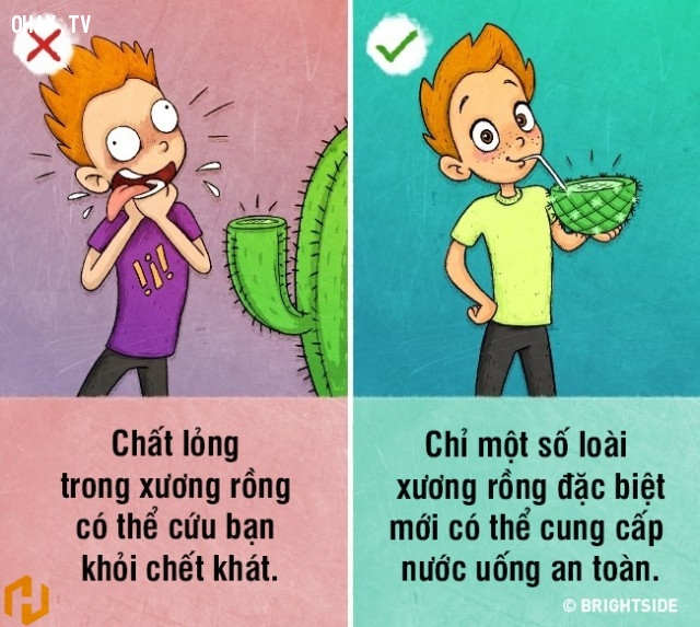 9 nhận thức sai lầm về kỹ năng sinh tồn có thể khiến bạn gặp nguy hiểm tính mạng