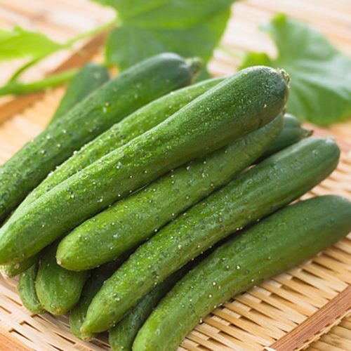 cách chọn mua dưa chuột