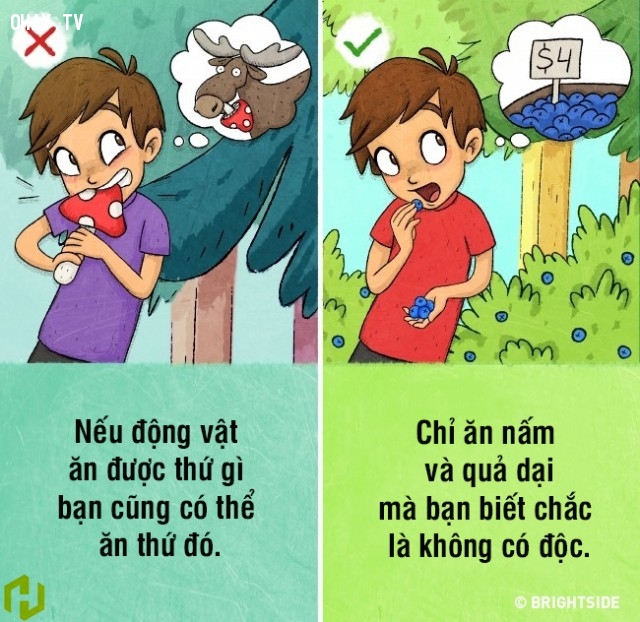 9 nhận thức sai lầm về kỹ năng sinh tồn có thể khiến bạn gặp nguy hiểm tính mạng