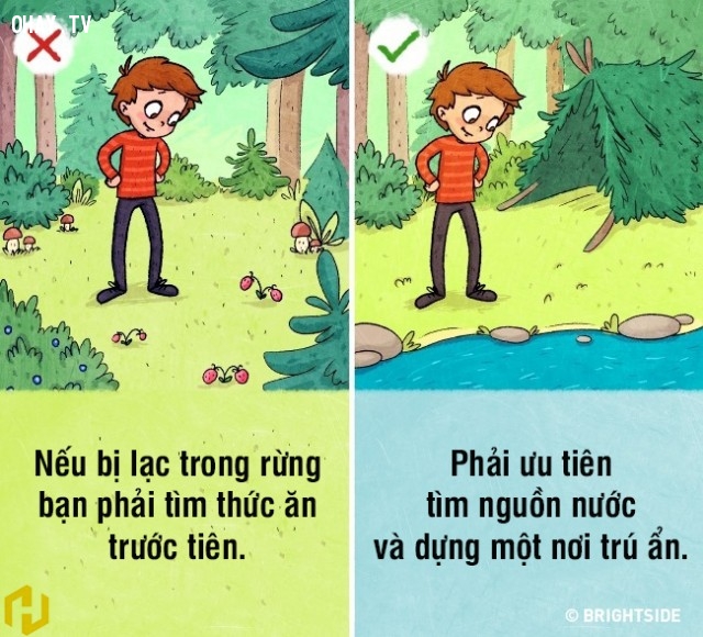 9 nhận thức sai lầm về kỹ năng sinh tồn có thể khiến bạn gặp nguy hiểm tính mạng