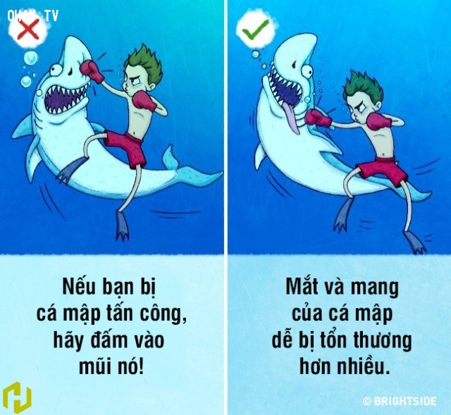 9 nhận thức sai lầm về kỹ năng sinh tồn có thể khiến bạn gặp nguy hiểm tính mạng