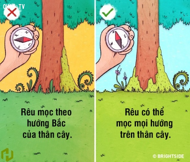 9 nhận thức sai lầm về kỹ năng sinh tồn có thể khiến bạn gặp nguy hiểm tính mạng