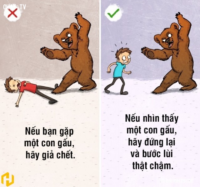9 nhận thức sai lầm về kỹ năng sinh tồn có thể khiến bạn gặp nguy hiểm tính mạng