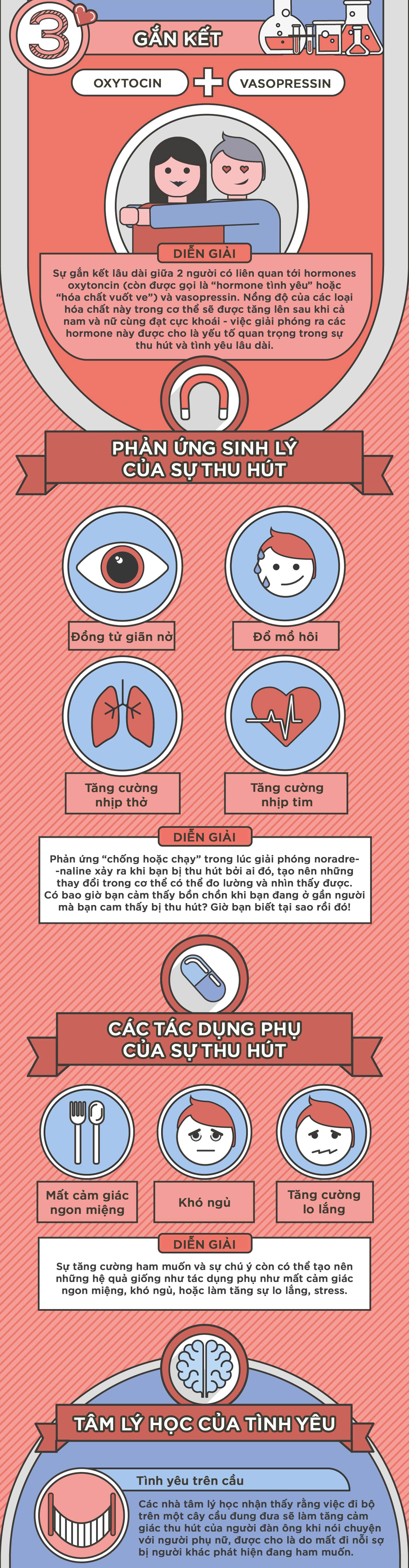 [infographic] tình yêu dưới góc độ khoa học