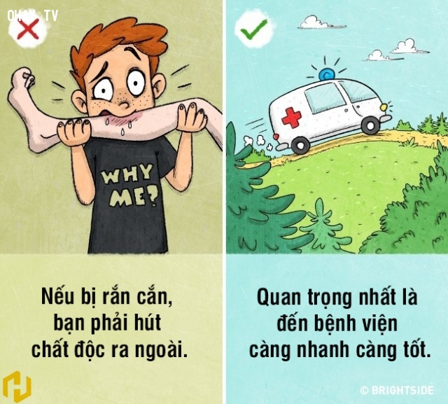 9 nhận thức sai lầm về kỹ năng sinh tồn có thể khiến bạn gặp nguy hiểm tính mạng
