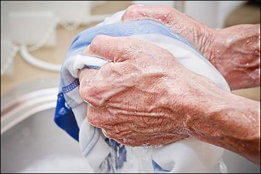 Câu chuyện về lòng biết ơn