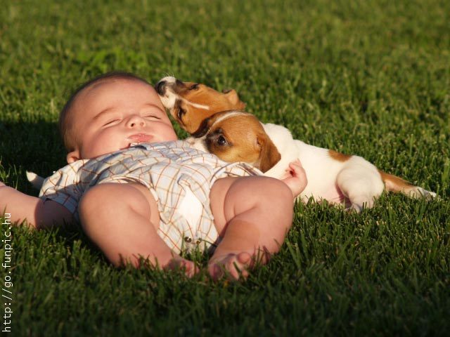 cuộc đời của nó