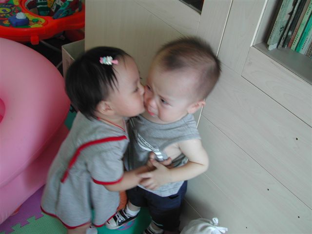 cuộc đời của nó