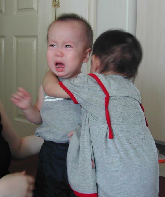 cuộc đời của nó