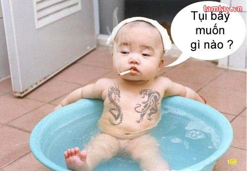 cuộc đời của nó
