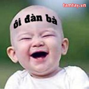 cuộc đời của nó