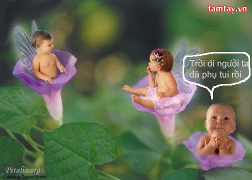cuộc đời của nó
