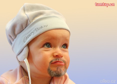 cuộc đời của nó