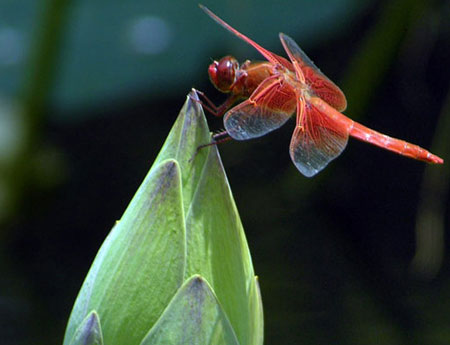để được yêu mến