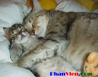 khi tôi thất tình ......