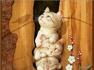 khi tôi thất tình ......