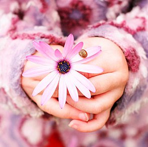 Lòng tốt của người lạ