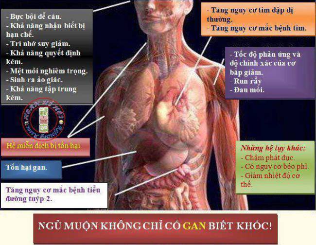 Những tác hại khủng khiếp vì thức khuya bạn nhất định phải biết