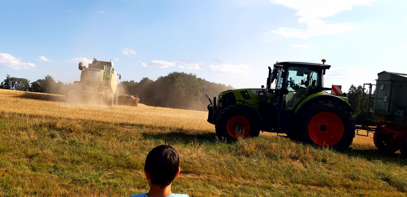 Haafs Regionales Eck in Elztal