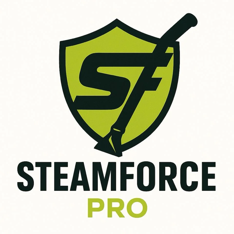 SteamForce Pro [카펫&소파 스팀 클리닝]