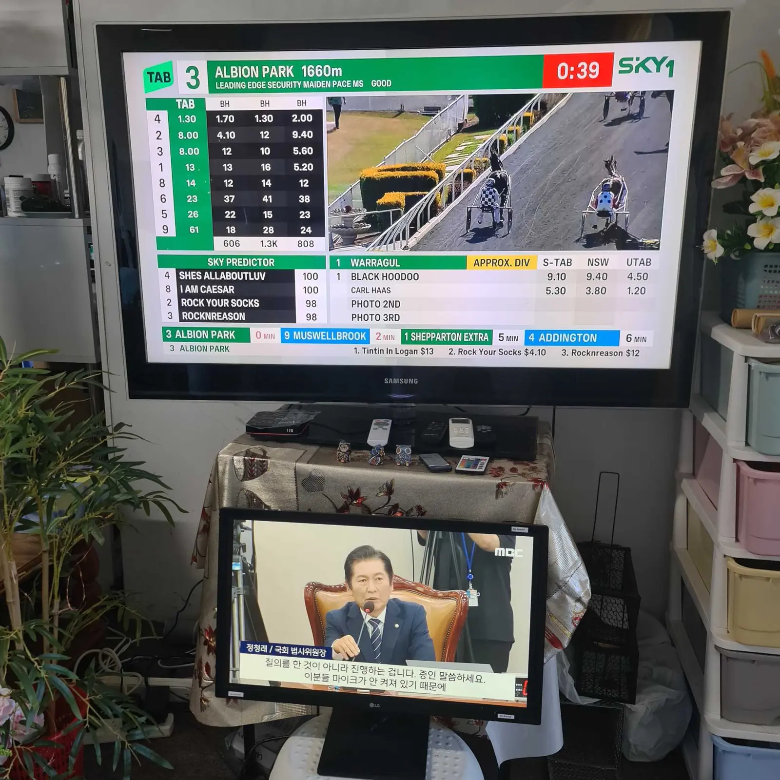 [컴퓨터 수리 가능] 월 사용료 없는 한국 TV  36 채널 호주 24 채널  TV BOX 양도